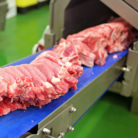 PVC Belt Conveyor Industri Ayam Dan Sapi