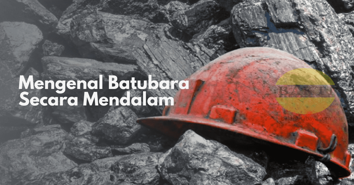 Mengenal Batubara Secara Mendalam