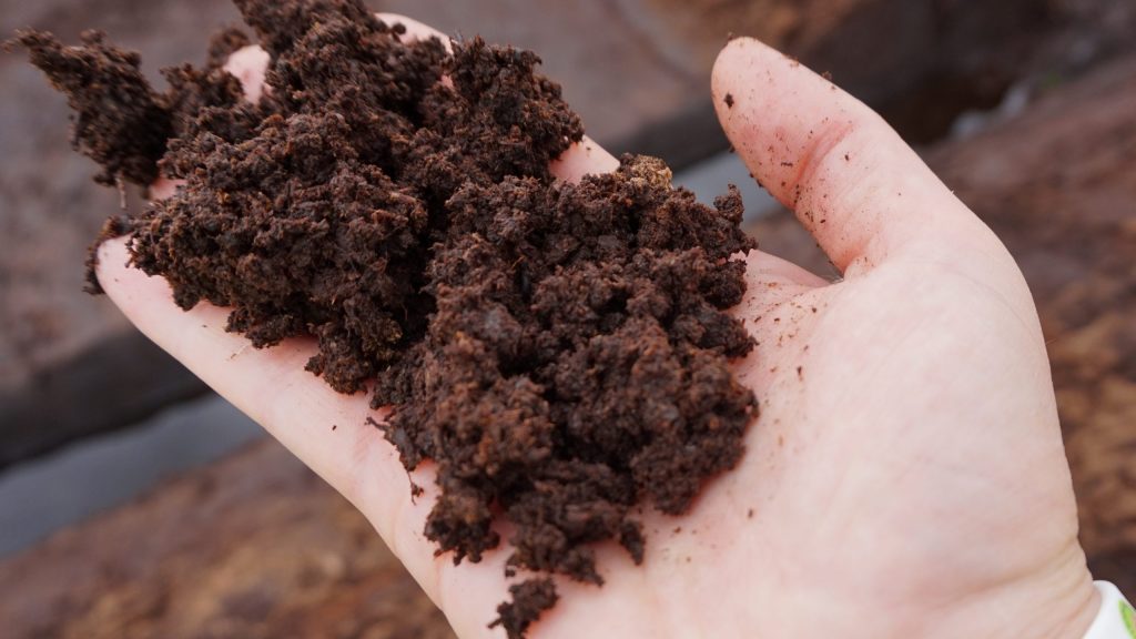 Peat