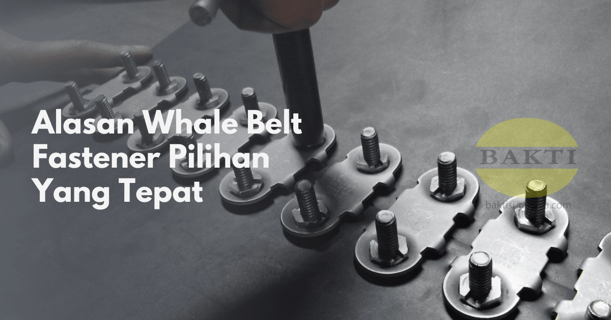 Alasan Whale Belt Fastener Pilihan Yang Tepat Cover